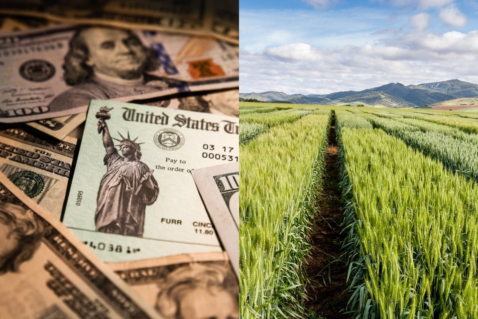 Agricultores en Estados Unidos recibirán ayuda monetaria de hasta $50,000 dólares