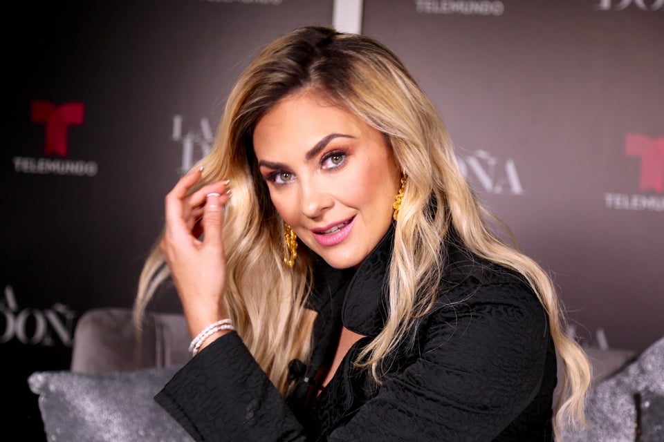 Aracely Arámbula estalla con Luis Miguel por no ver a sus hijos