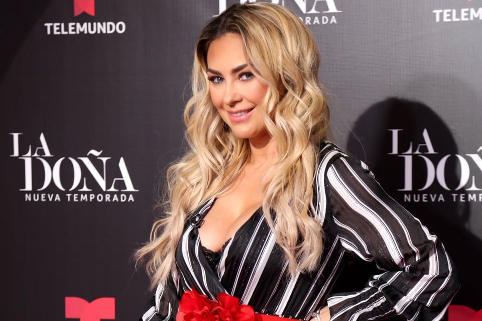 Aracely Arámbula, Luis Miguel, Vaselina, Alfombra roja, Relación