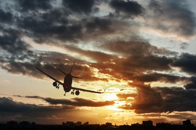 Crocodile causes deadly plane crash in Congo