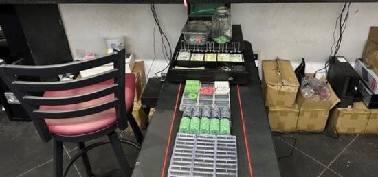 cooperación, detenidos, cargos, multa, MundoNow