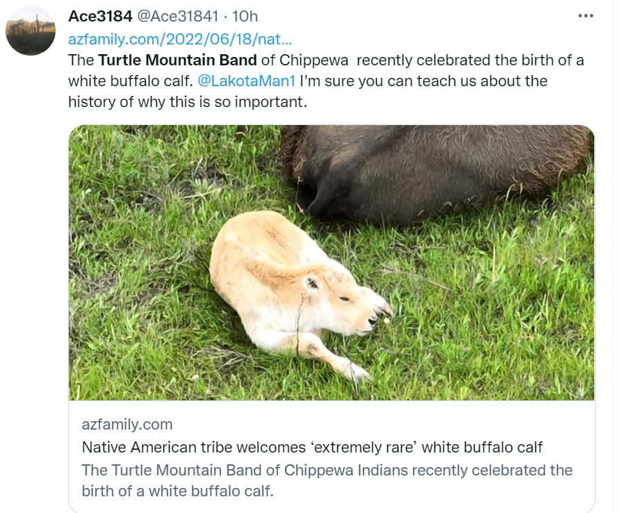 the chippewa tribe