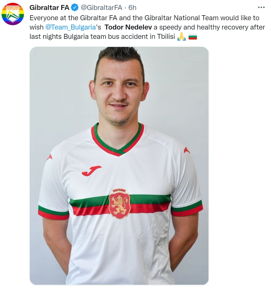 Todor Nedelev