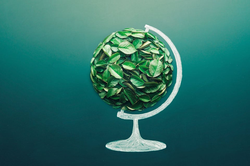 Globe earth eco concept