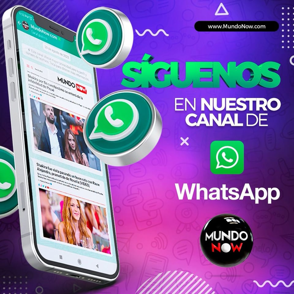 Datos, Contenido, Actualizaciones, WhatsApp, MundoNow