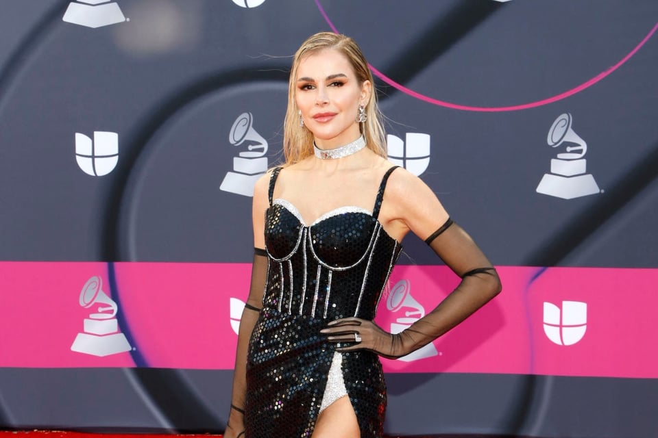 Espectáculos, escándalo, cantante, modelo, premios