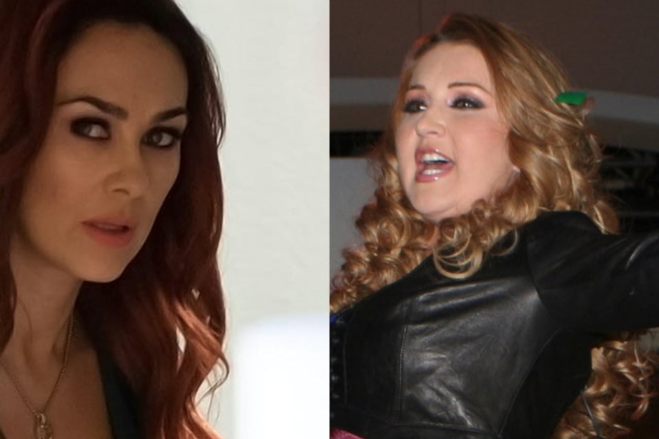 Alicia Villarreal lanza una indirecta firme a Aracely Arámbula