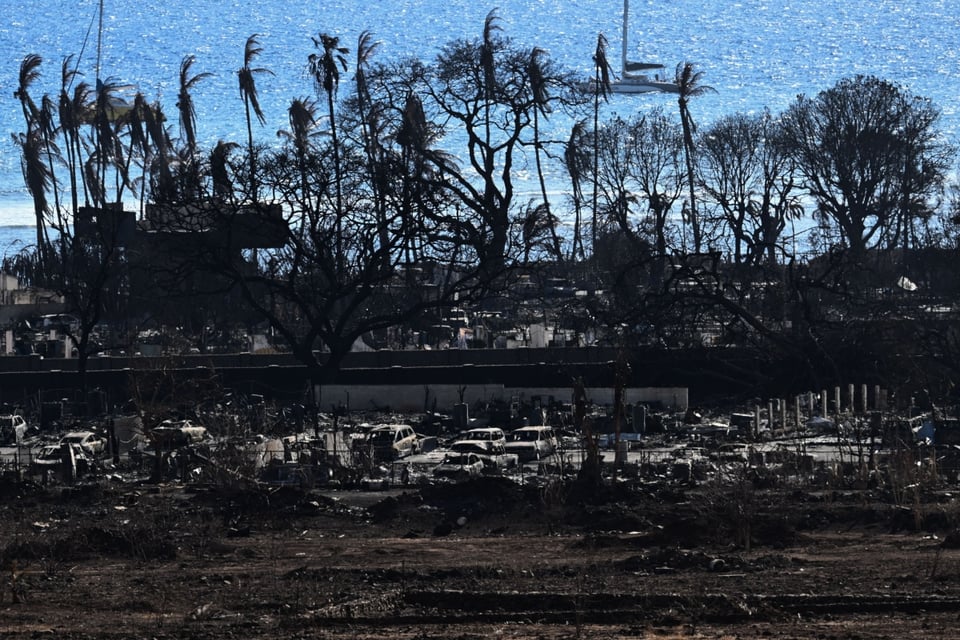 Aumenta el número de muertos por incendios forestales en Hawái featured image