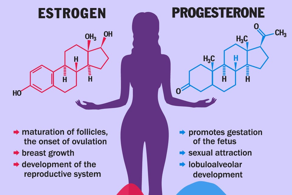 Progesterone, Estrogen, hormones