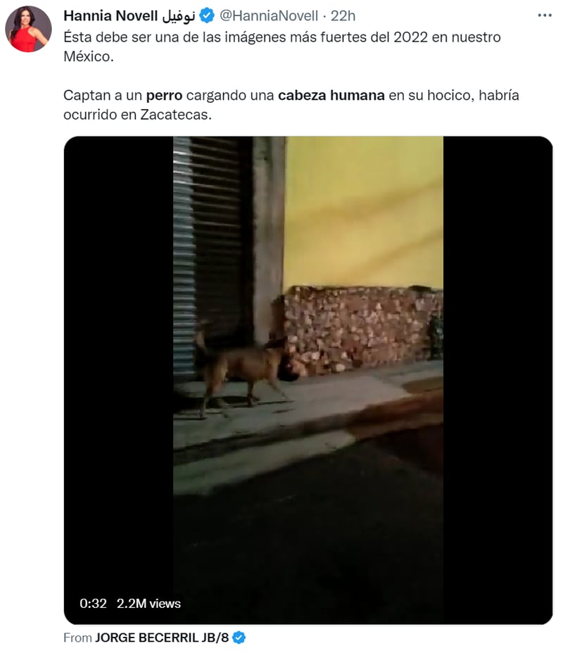 dog human head mexico