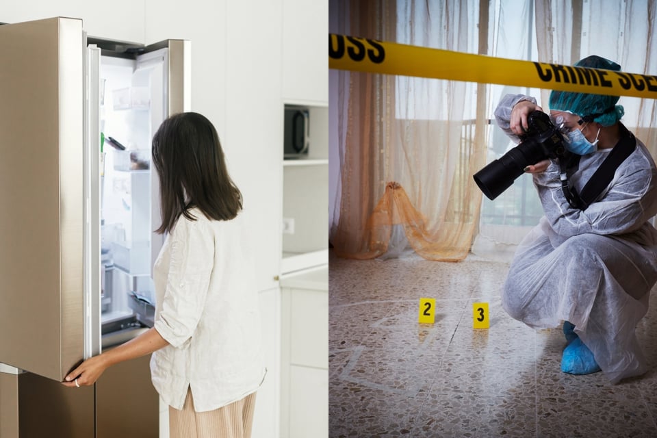 Familia encuentra cabeza humana en congelador de la casa que acababan de comprar featured image