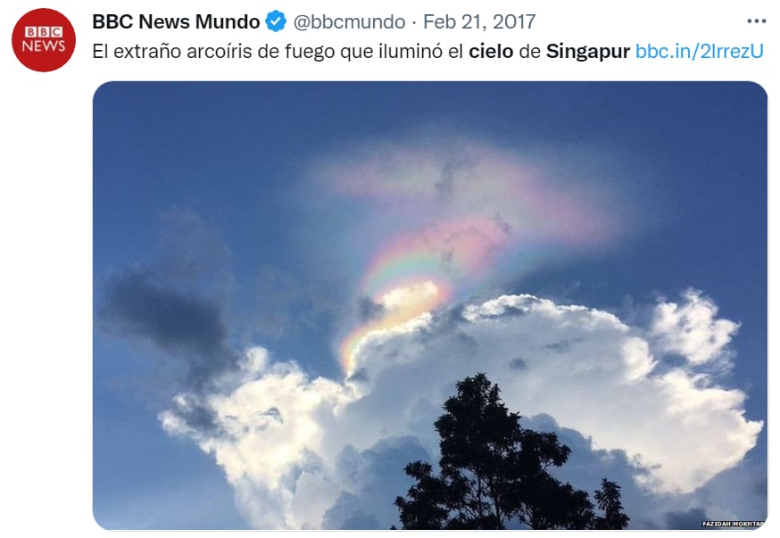 Misterioso anillo negro Singapur