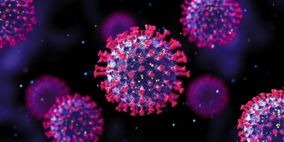 ¿Qué es y cómo se contagia el Parechovirus?