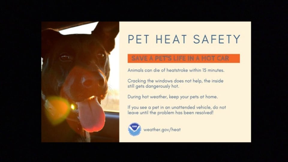 shelter, alert, weather, severe, warning