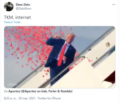 biden fall memes