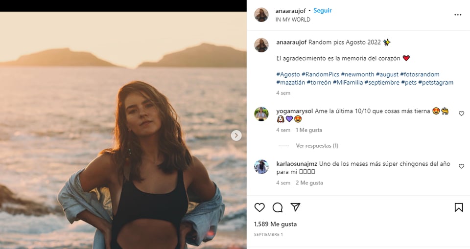 ¿Quién es Ana Araujo? Esposa de Pablo Lyle