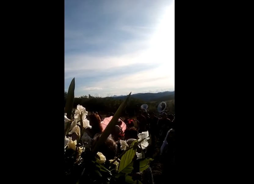 Despidieron a su compañero y amigo con música