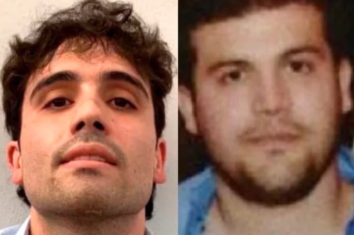 Ovidio y Joaquín Guzmán López, los "Chapitos" que unieron fuerzas