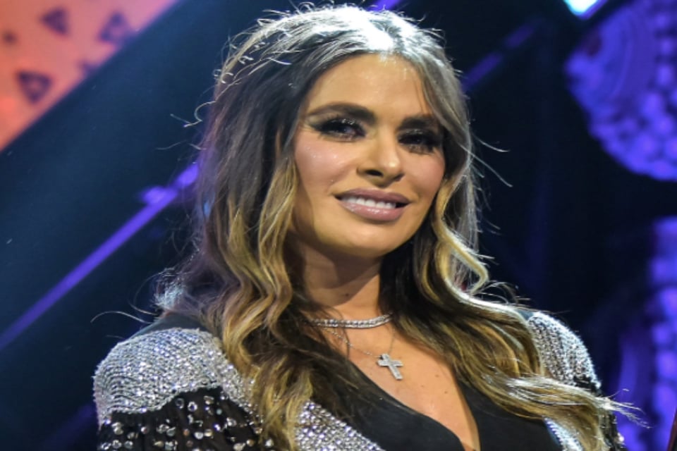 Fernando Reina, esposo de Galilea Montijo rompe el silencio sobre supuesto vínculo de su mujer con narco (VIDEO) featured image