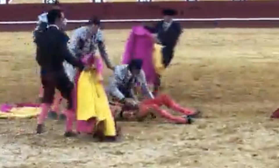 Torero Manuel Diosleguarde