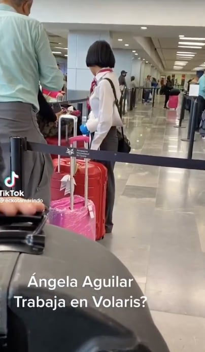 airline employee
