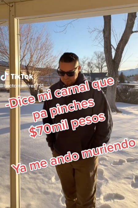 Brother's reply on TikTok