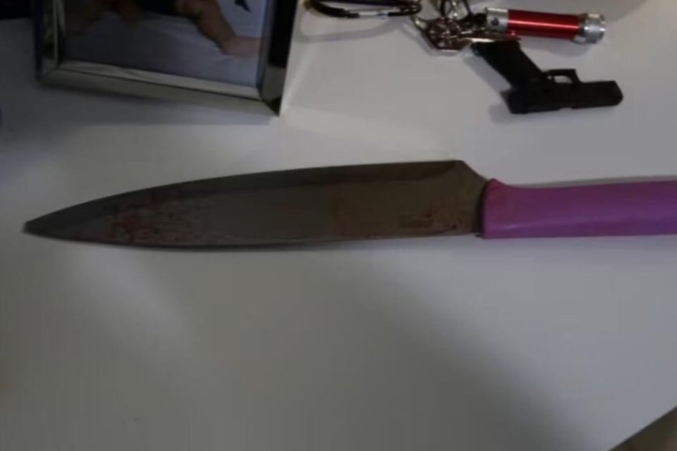 knife, weapon, Irina García, Dereck Rosa, brutality