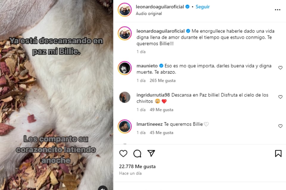 Condolencias, Luto, Duelo, Homenaje, Ángela Aguila