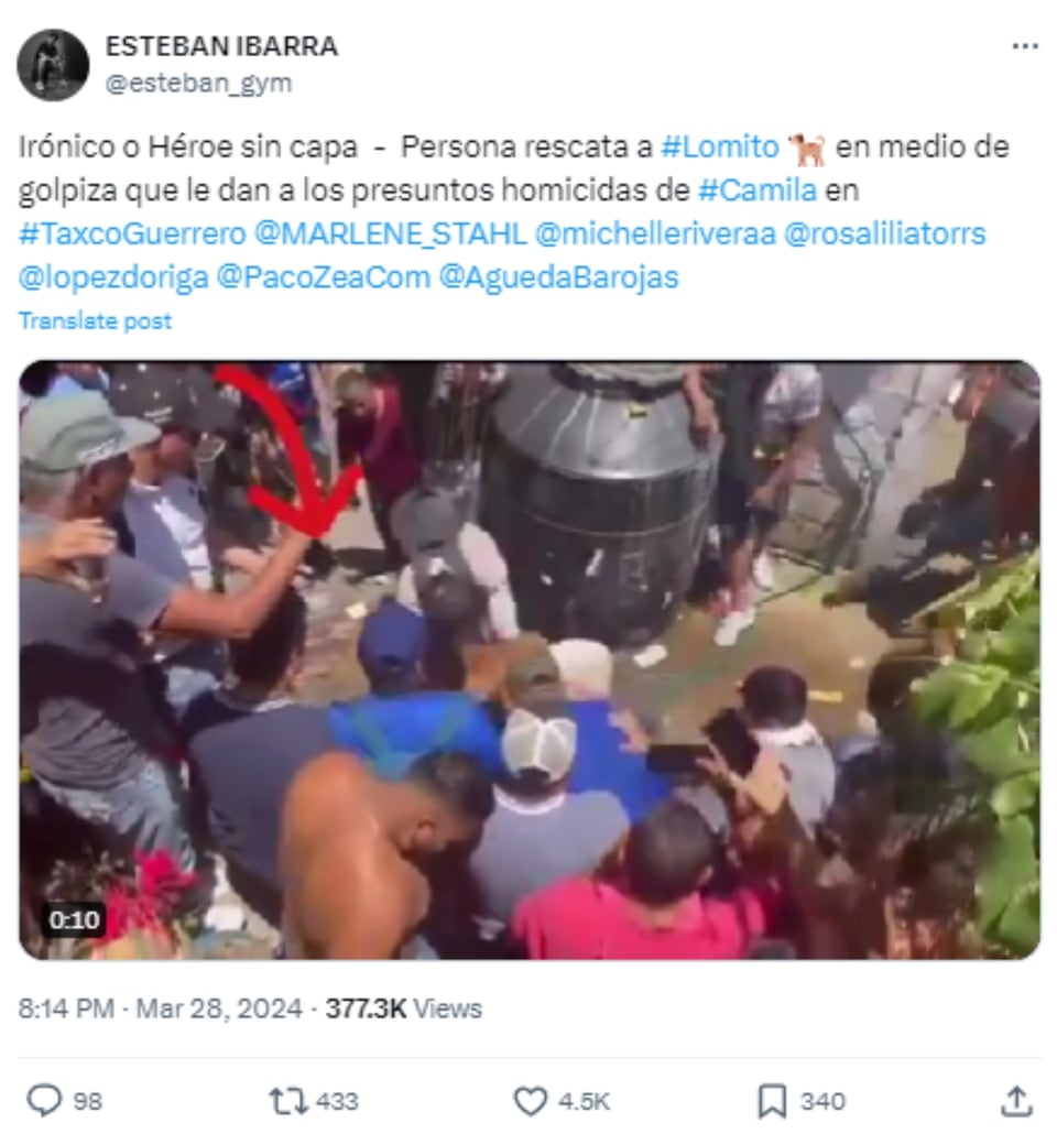 Conmoción, Asesinato, Muerte, Crimen, Perro defiende mujer en linchamiento
