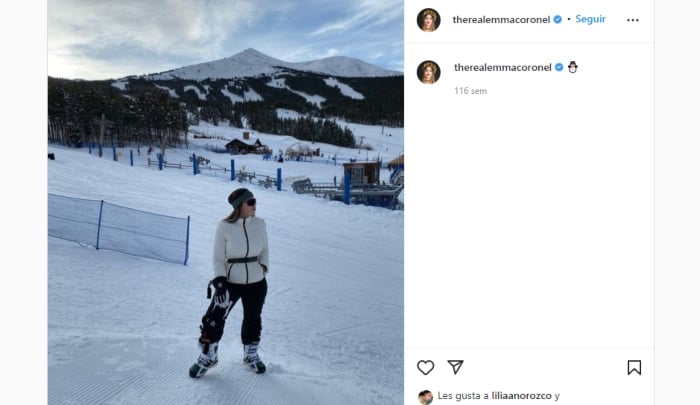 Algunas de las marcas y artistas con las que interactua con Emma Coronel