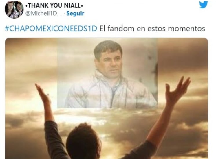Las "directioners" imploraban el favor a el capo