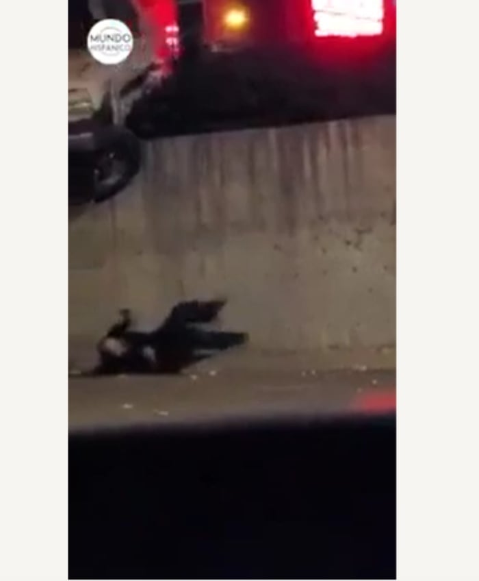  Logró salir de su coche