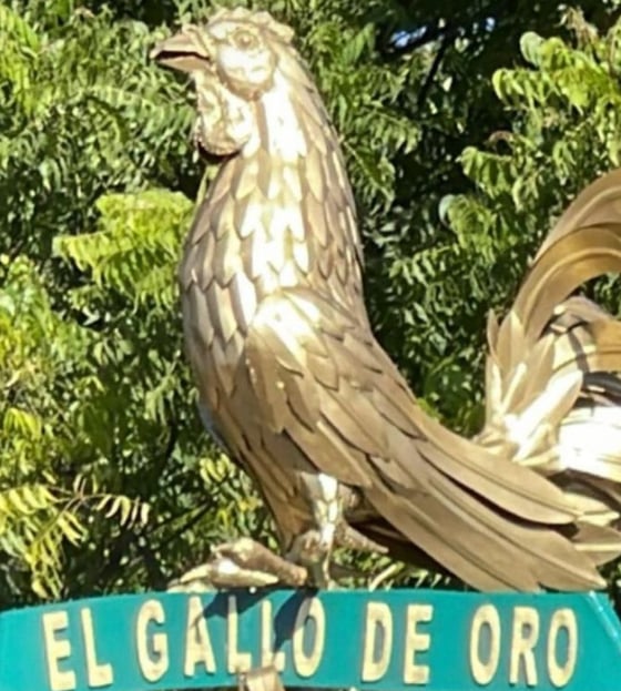 ¿Dónde descansan los restos de Valentín Elizalde?