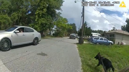 Captura,perro, K-9 Red, policia, impactante