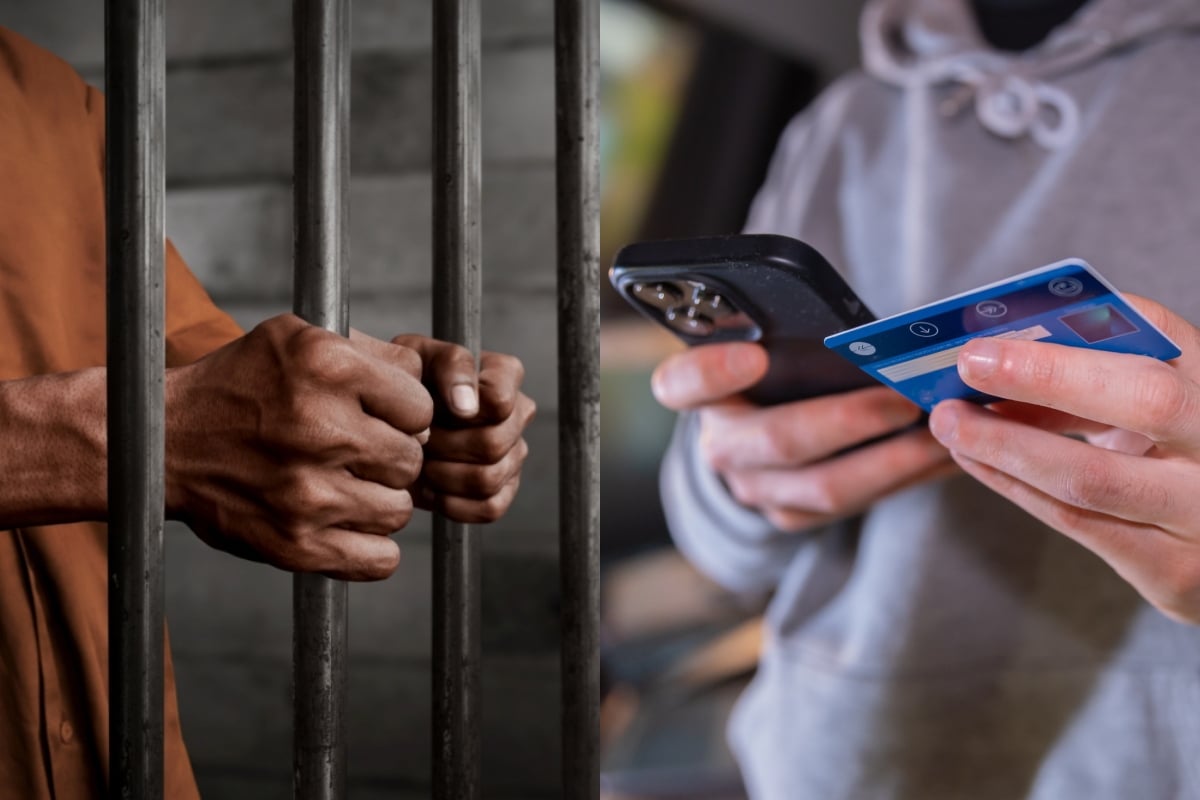 Dismantling of Scammer Network in Pennsylvania, United States, Dominican Republic, New Jersey, New York- Desmantelan red de estafadores en Pensilvania, Estados Unidos, Republica Dominicana, Nueva Jersey, Nueva York