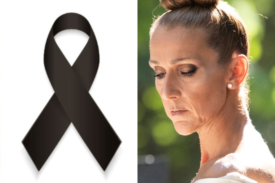 Muere sobrina de Céline Dion tras sufrir trágico accidente automovilístico
