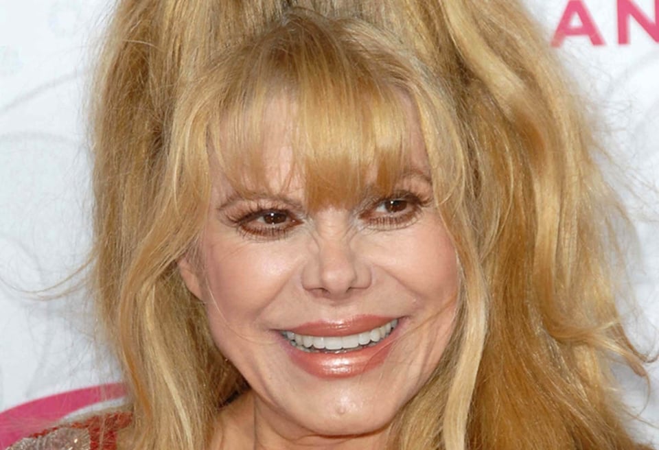TV Land Awards, Hollywood, California, presenter, entertainer