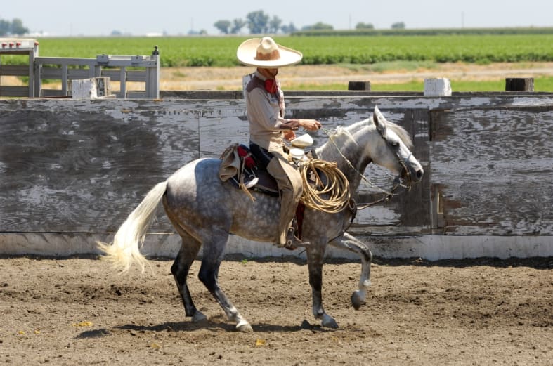 El Charro presents his «mistress» after separating from La Mayrita (VIDEOS)