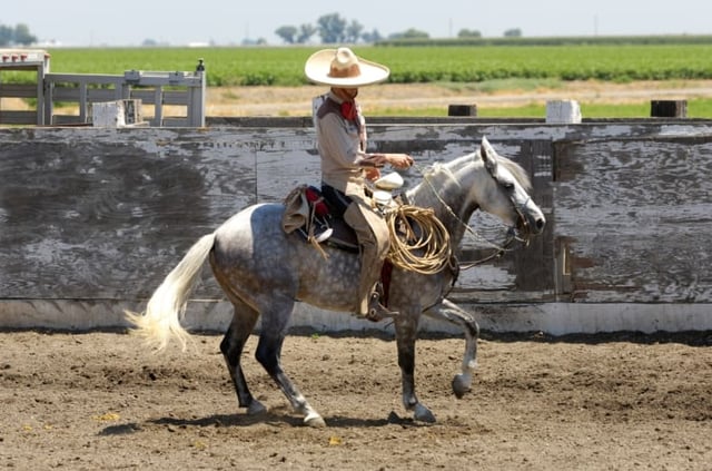 ‘El Charro’ caught kissing his mother on the mouth and calling her a sow! (VIDEO)