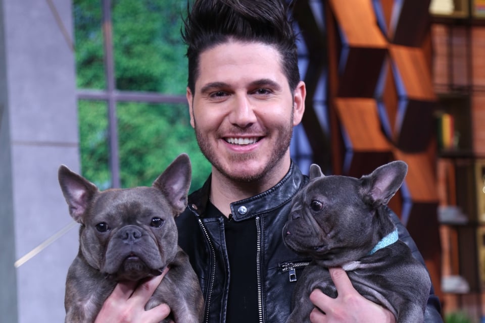 dos perritos, mascotas, show en vivo, celebridades, MundoNOW