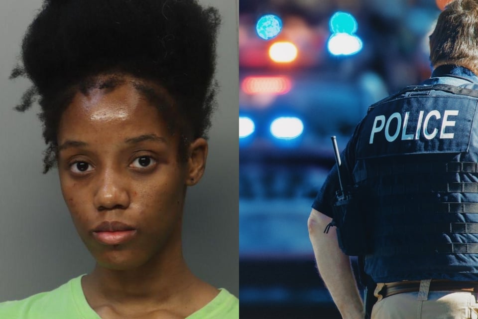 He stabbed his sister in the neck during a fight over a shower