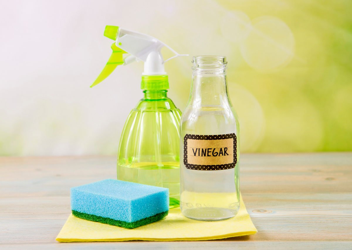The magic of vinegar: 4 surprising ways to clean your home
