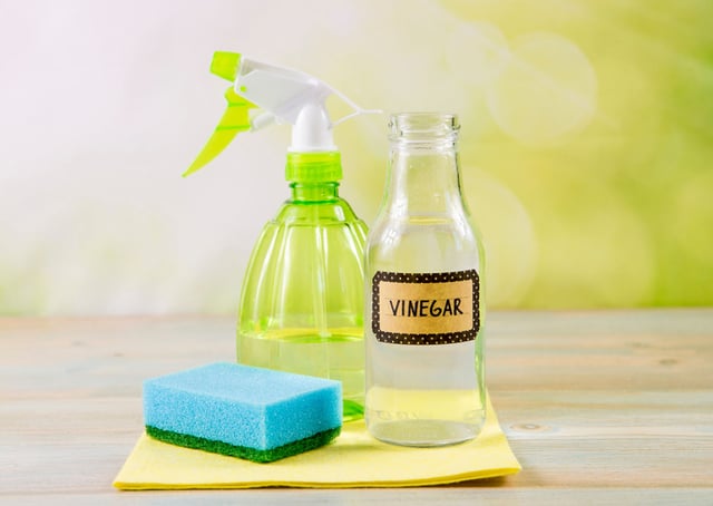 The magic of vinegar: 4 surprising ways to clean your home