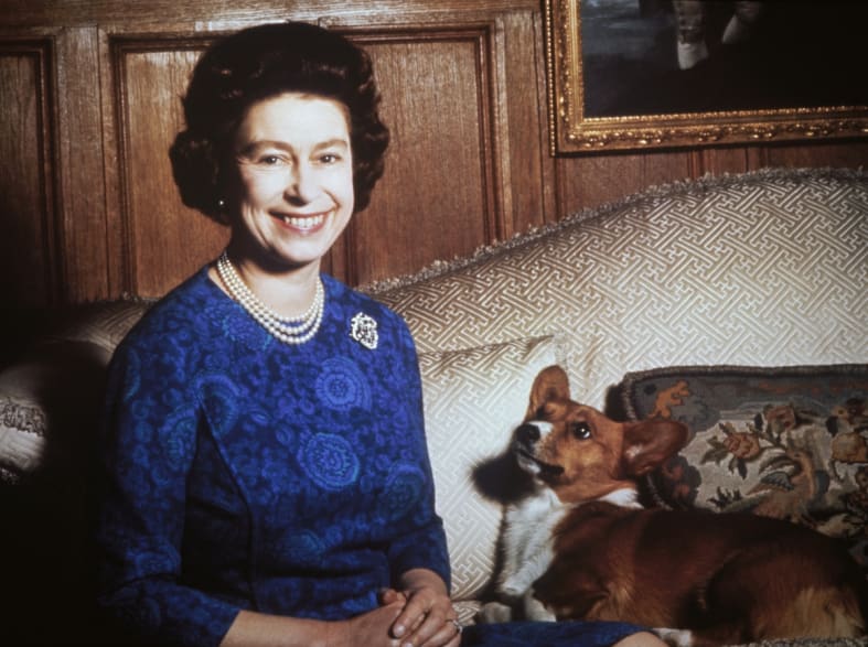 Who will get Queen Elizabeth II’s corgis?