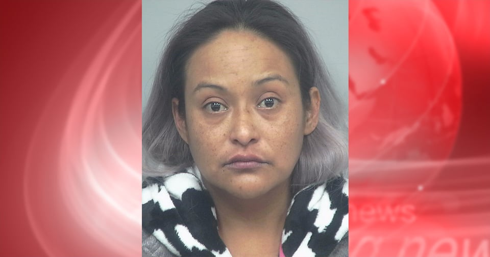 Crónica: Arrestan a latina por lanzar a un hombre a la calle