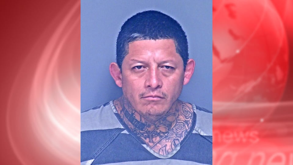 detenido, criminal, seguridad, violencia, ataque