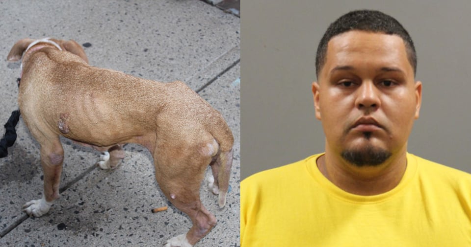 Crónica: Douglas Robles se pasó de cruel con su pobre perrito