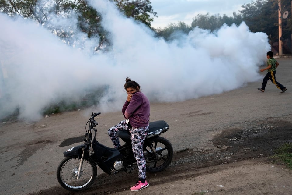 Dengue Argentina muertos