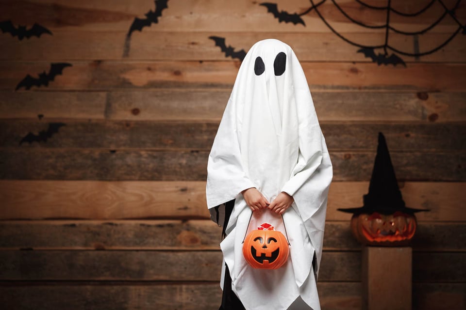 fantasma, calabaza, truco o trato, vacaciones, MundoNOW