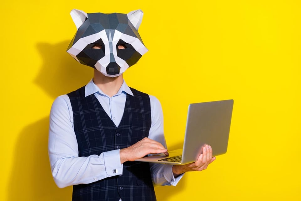 Oficinista, computadora portátil, trabajando, mapache, disfraces de Halloween de bricolaje